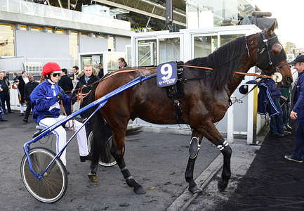 Actualités Hippiques